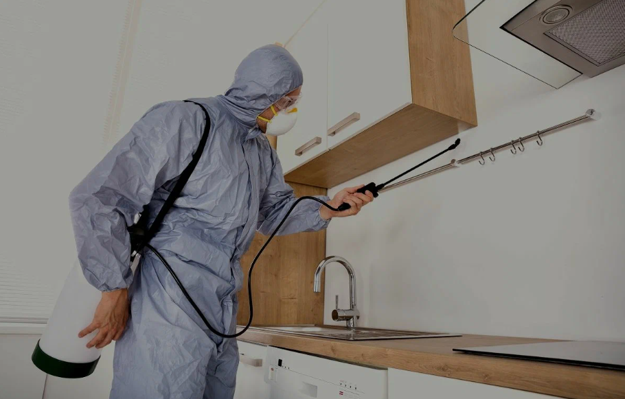 Fallbrook pest managment